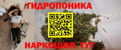 шишки Моздок