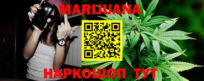гидропоника Можга