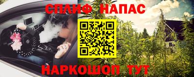 шишки Моздок