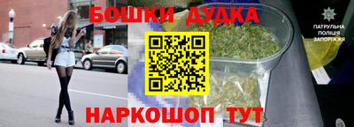 гидропоника Можга