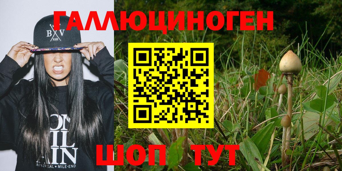 Псилоцибиновые грибы Magic Shrooms Пыть-Ях